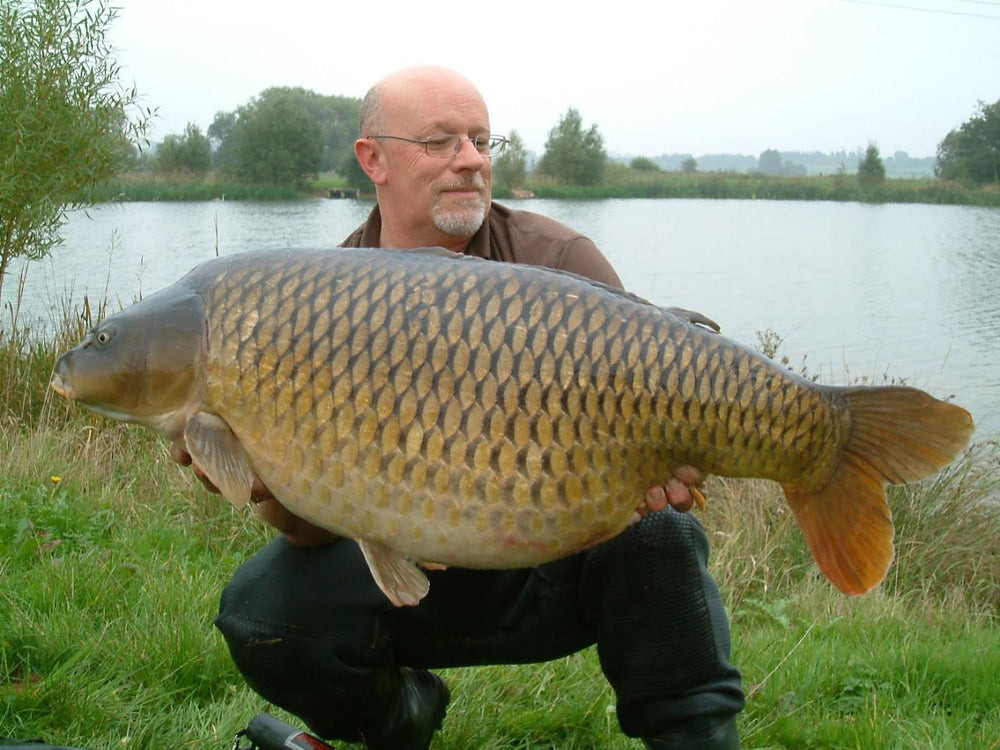 Mike Lee - Summit Team UK